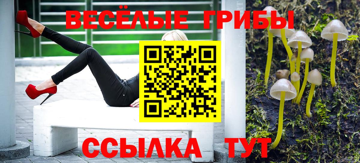 Галлюциногенные грибы прущие грибы Сибай